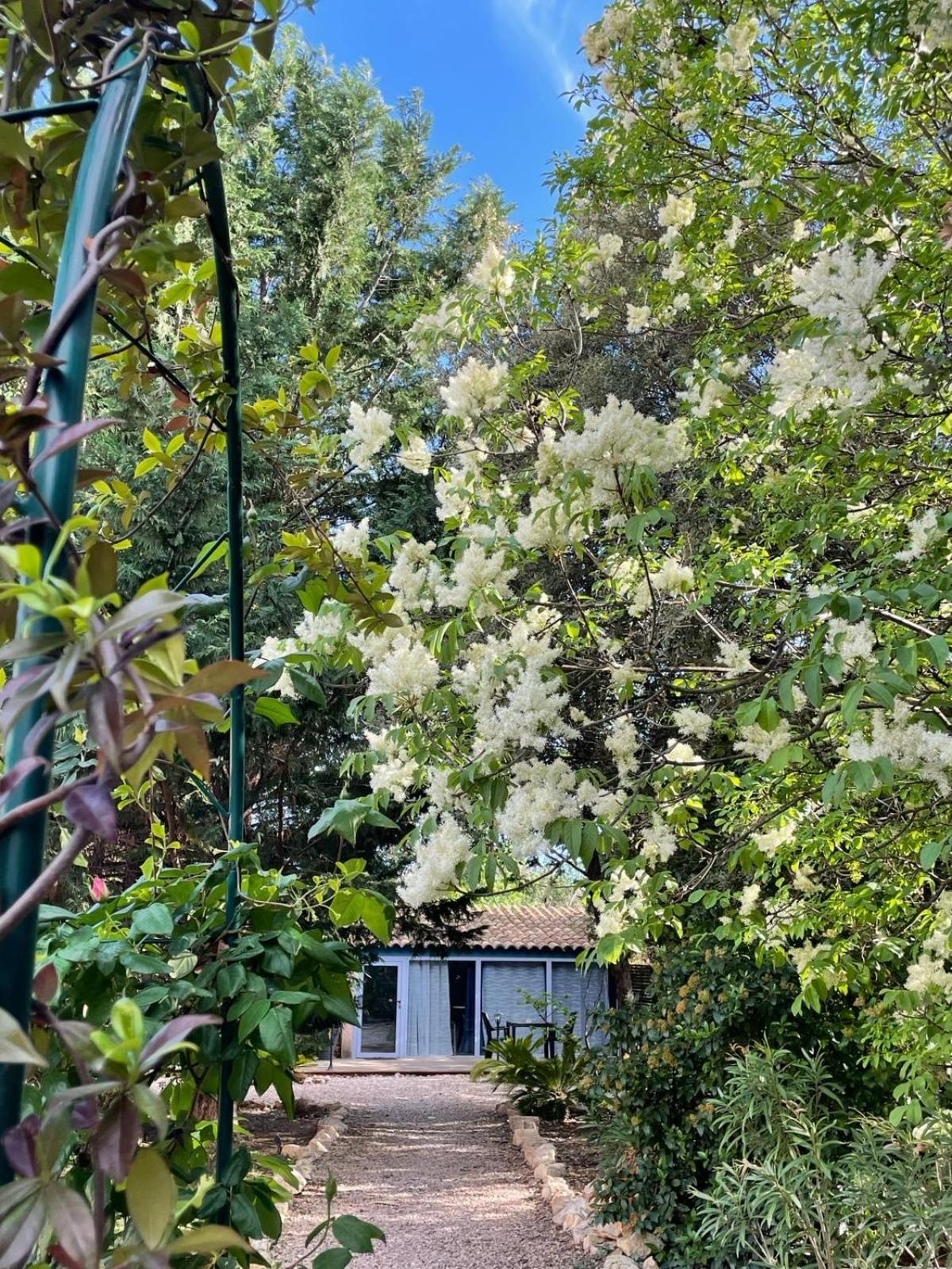 Au Sabluline Chambres D'Hotes Gites Draguignan Esterno foto